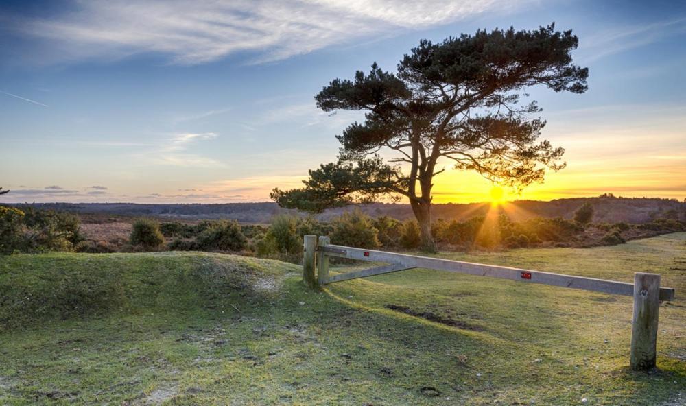 The Knightwood Oak A Luxury King Size En-Suite Space - Lymington New Forest With Totally Private Entrance - Key Box Entry - Free Parking & Private Outdoor Seating Area - Town ,Shops , Pubs & Solent Way Walking Distance & Complimentary Breakfast Items ภายนอก รูปภาพ