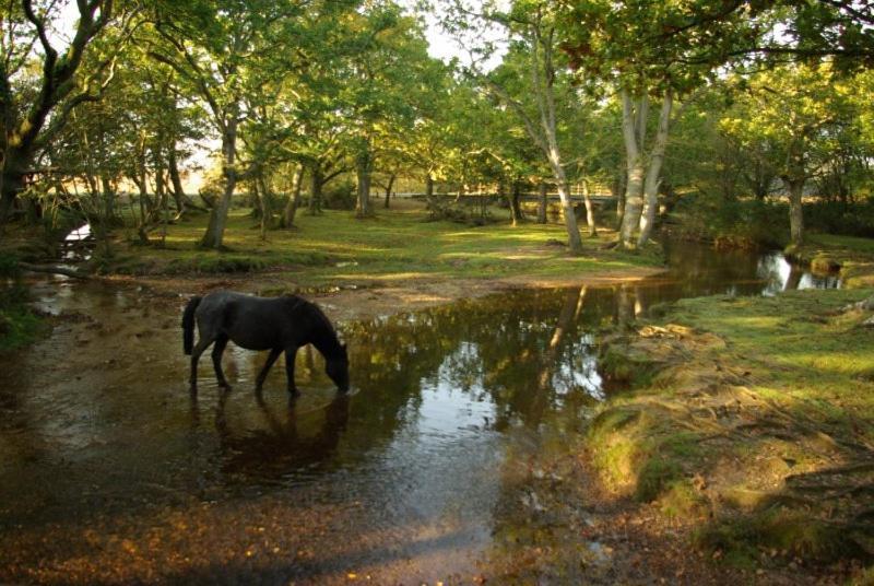 The Knightwood Oak A Luxury King Size En-Suite Space - Lymington New Forest With Totally Private Entrance - Key Box Entry - Free Parking & Private Outdoor Seating Area - Town ,Shops , Pubs & Solent Way Walking Distance & Complimentary Breakfast Items ภายนอก รูปภาพ